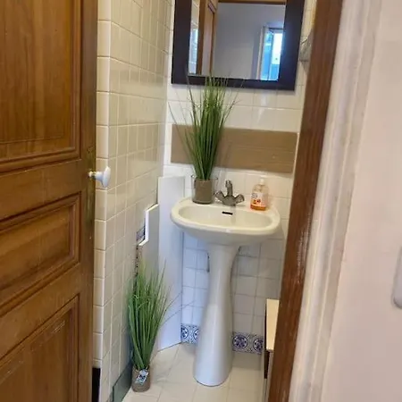 Petit Studio Au Centre Apartment *